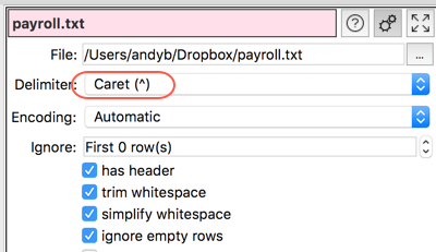 Input fixed width format file