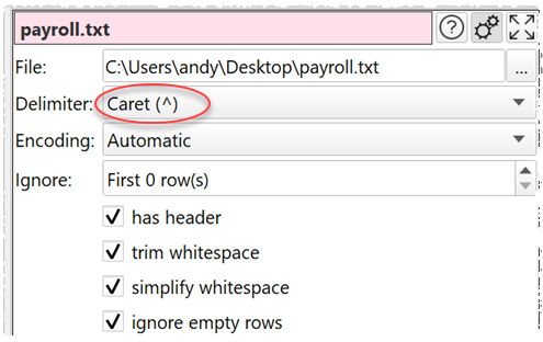 Input fixed width format file