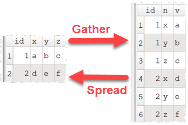 Gather and Spread.